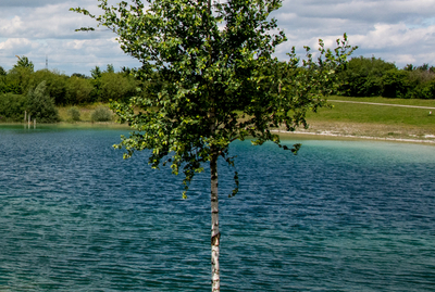 Bild des Badesee in Poing mit Badeinsel