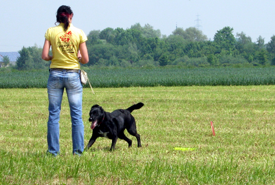 Bild einer Hundehalterin mit Hund